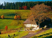 Todnau Hochschwarzwald Südschwarzwald Baden Württemberg Deutschland © Todtnauer Ferienland