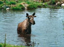 Schweden Smaland Südschweden © S-O. Svensson