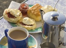  © Lance Bellers-fotolia.com