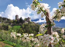 Dorf Tirol Südtirol Italien © Henry Czauderna-fotolia.com