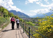 Meran Südtirol Italien © Hernry Czauderna-fotolia.com