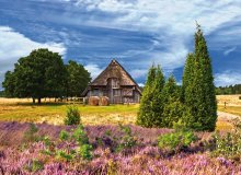 Lüneburger Heide Niedersachsen Deutschland © Gabriele Rohde - fotolia.com