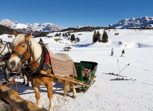 Seiser Alm Südtirol Italien © Jan Schuler-fotolia.com