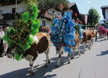 Oberau Niederau Auffach Wildschönau Tirol © Wildschönau Tourismus