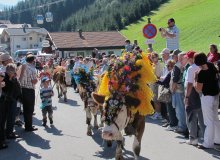 Oberau Niederau Auffach Wildschönau Tirol © Wildschönau Tourismus
