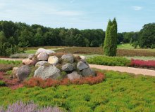 Schneverdingen Lüneburger Heide Niedersachsen Deutschland © Klaus Büth-fotolia.com