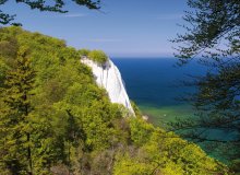 Rügen Ostsee Mecklenburg-Vorpommern Deutschland  © Uwe Kantz-stock.adobe.com