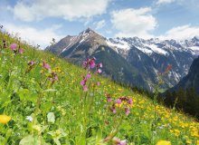 Mayrhofen Zillertal Tirol Österreich © by paul-fotolia.com