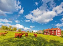 Smaland Schweden © DutchScenery-fotolia.com