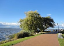 Steinhuder Meer Niedersachsen Deutschland © tassilo111/Pixabay