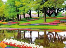 Lisse Holland Niederlande © pixabay.com/skeeze