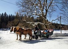 Braunlage Harz Sachsen-Anhalt © Braunlage Tourismus GmbH 