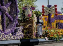 Lisse Holland Niederlande © Keukenhof