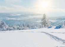 Schwarzwald Baden-Württemberg Deutschland © Corri Seizinger-stock.adobe.com