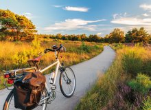 Naturpark Hoge Veluwe Ede Gelderland Holland Niederlande © Martin Bergsma - stock.adobe.com