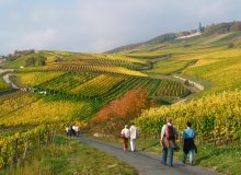 Rüdesheim Rhein Hessen Deutschland © Rüdesheim Tourist AG - Karlheinz Walter