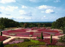 Schneverdingen Lüneburger Heide Niedersachsen Deutschland © Schneverdingen Touristik