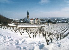 Österreich Wienerwald Gumpoldskirchen Niederösterreich © Wienerwald Tourismus