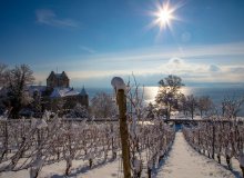 Meersburg Bodensee Baden-Württemberg Deutschland © TMBW/Mende