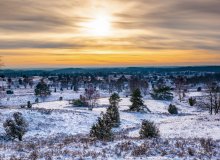 Lüneburger Heide Niedersachsen Deutschland © foto-select - stock.adobe.com