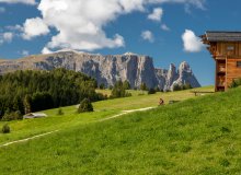 Seiser Alm Dolomiten Grödnertal Südtirol Italien © Tilo Grellmann - stock.adobe.com