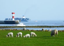 Brunsbüttel Unterelbe Schleswig-Holstein Deutschland © Stadt Brunsbüttel/Sievers