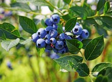  © Thaut Images - stock.adobe.com