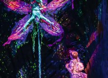 Hamburg © JOHAN PERSSON