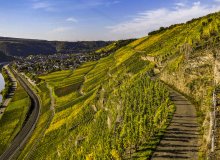 Winningen Mosel Rheinland-Pfalz Deutschland © Klaus Brost / Rheinland-Pfalz Tourismus GmbH