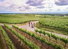 Kaiserstuhl Südschwarzwald Baden-Württemberg Deutschland © TMBW/Jens Wegener