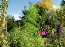 Neuss Deutschland © Daniel Attia