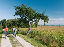 Uckermark Brandenburg Deutschland © Kappest/Uckermark (tmu GmbH)