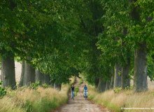 Uckermark Brandenburg Deutschland © Kappest/Uckermark (tmu GmbH)