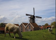 Texel Holland Nordsee © Rob Bouwman-fotolia.com