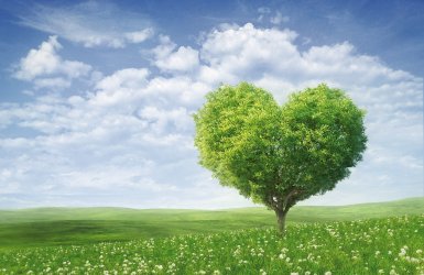  © Maksim Samasiuk - fotolia.com