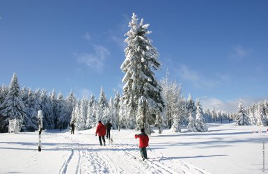 Oberhof - Winter-Wunderland