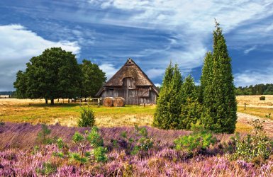 Lüneburger Heide Niedersachsen Deutschland © Gabriele Rohde - stock.adobe.com