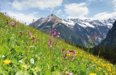 Mayrhofen Zillertal Tirol Österreich © by paul-fotolia.com