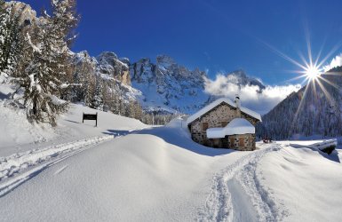 Pale di San Martino Dolomiten Val Veneggia Trient Trento Trentino Italien © frenk58-fotolia.com