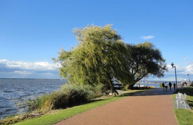 Steinhuder Meer Niedersachsen Deutschland © tassilo111/Pixabay