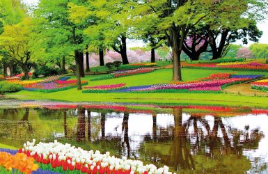 Lisse Holland Niederlande © pixabay.com/skeeze