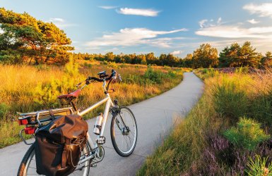 Naturpark Hoge Veluwe Ede Gelderland Holland Niederlande © Martin Bergsma - stock.adobe.com
