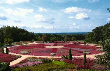 Schneverdingen Lüneburger Heide Niedersachsen Deutschland © Schneverdingen Touristik