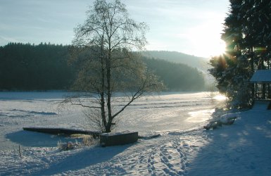 Deutschland Bayern Bayerischer Wald Blaibach © Verkehrsamt Blaibach