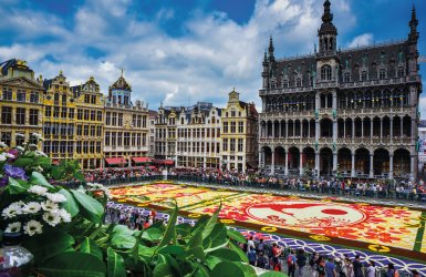 Blumenteppich Brüssel