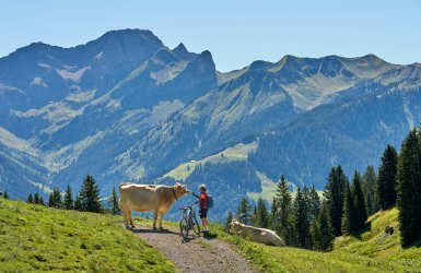 Dorf Au Bregenzerwald Vorarlberg Österreich © Uwe - stock.adobe.com