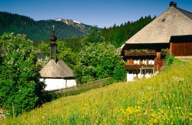 Neustadt Titisee Südlicher Hochschwarzwald Baden Württemberg Deutschland © TI Titisee Neustadt