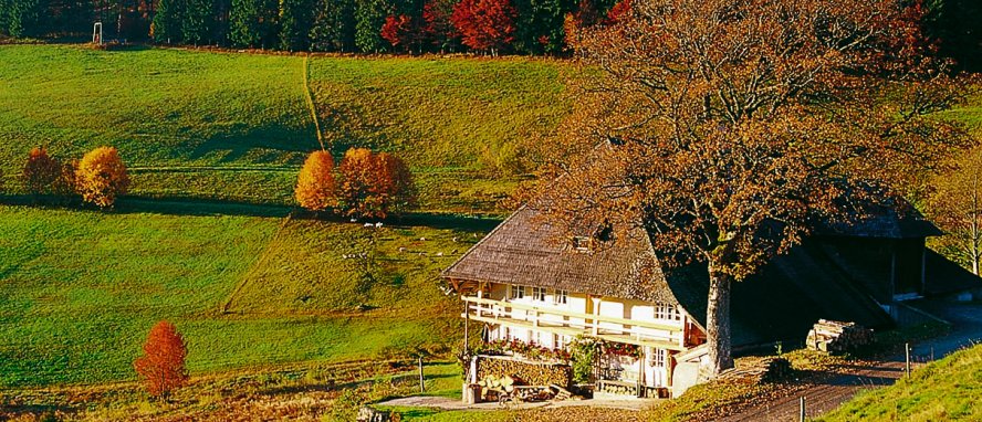 Todnau Hochschwarzwald Südschwarzwald Baden Württemberg Deutschland © Todtnauer Ferienland