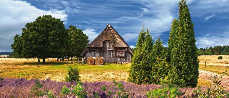 Lüneburger Heide Niedersachsen Deutschland © Gabriele Rohde - fotolia.com