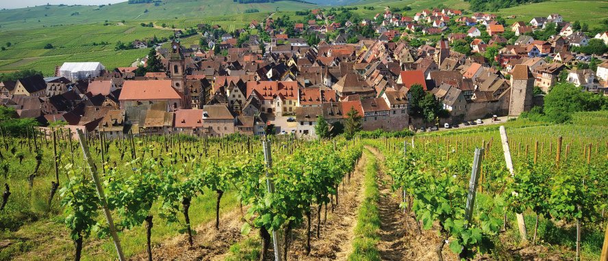 Riquewihr Elsass Frankreich © Mellow10 - fotolia.com